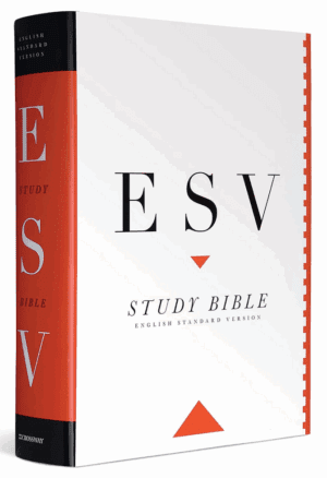 ESY Study Bible Non-Fiction Religion and Philosophy Book