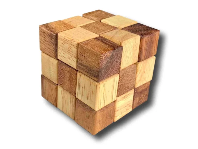 snake-wooden-fidget-creative crafthouse-puzzle-natural wood color-wood
